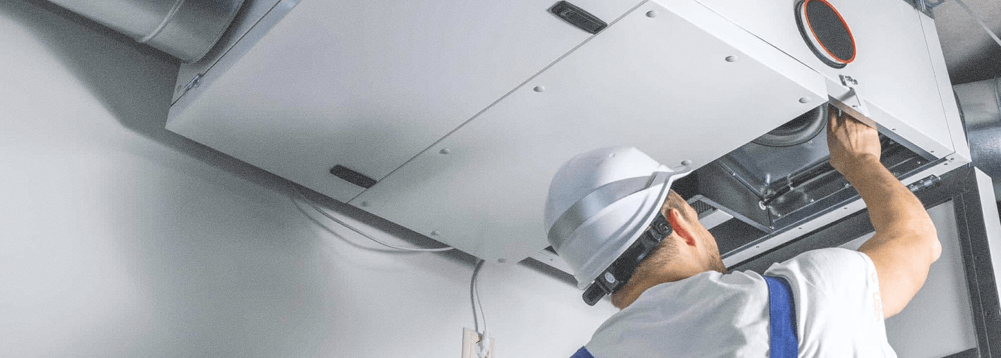 Professional service technician